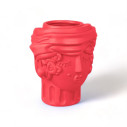 Magna Graecia Terracotta Vaso Women Pink Bounganvillea Seletti vista