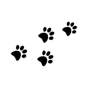 Sticker Dog Footprints