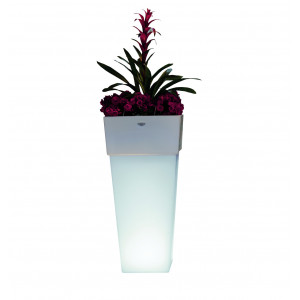 Vaso Giza a LED