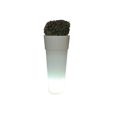 Vaso Manaus a LED