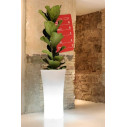 Vaso Recife a LED ambientazione
