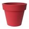 rosso oriente