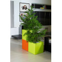 Vaso Kube con ruote L 50 ambientazione