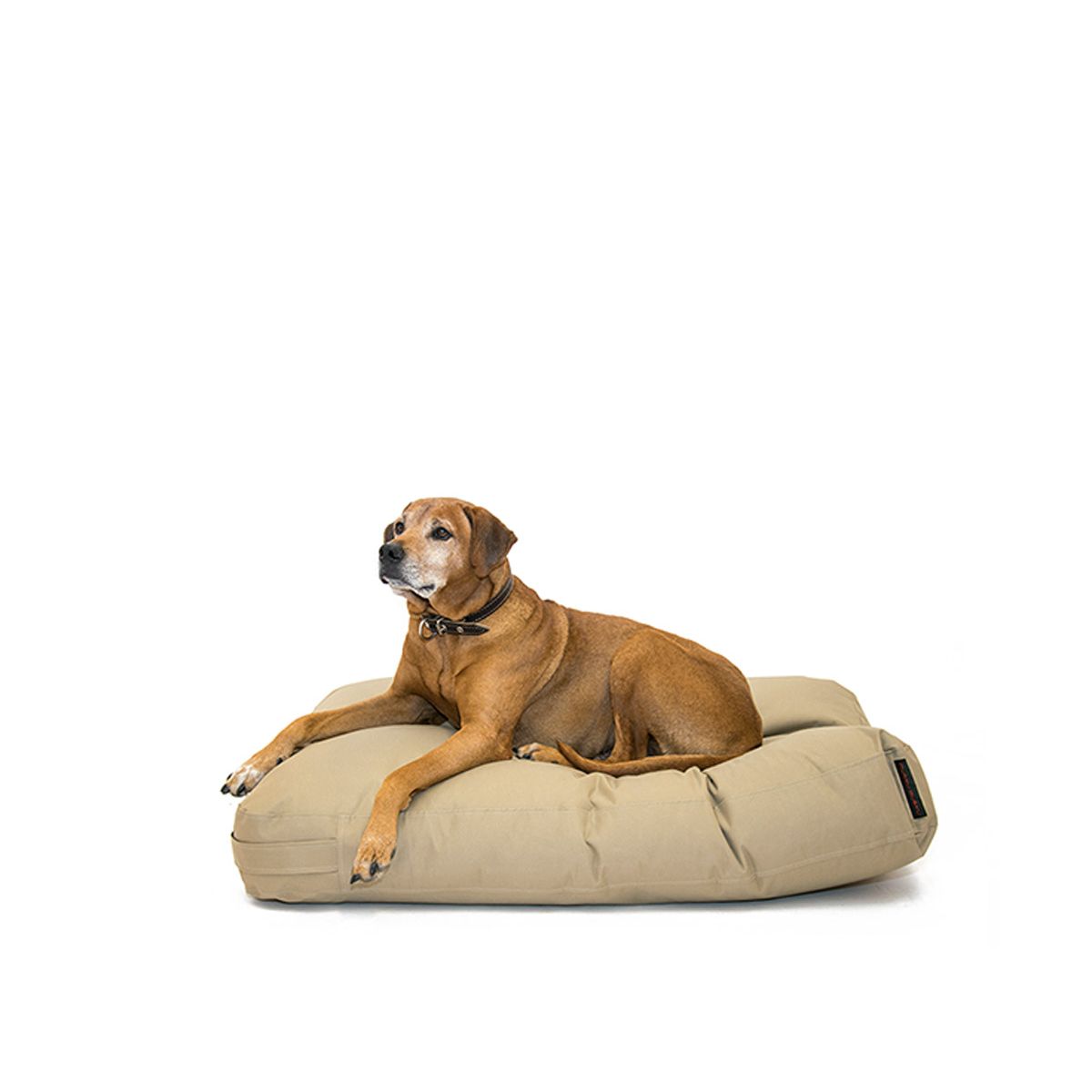 Cuccia Doggy Bed L 