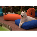 Cuccia Doggy Bed L ambientazione