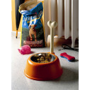 Alessi AMMI02 RO Lupita Ciotola per cani Rosso-Arancio ambientazione