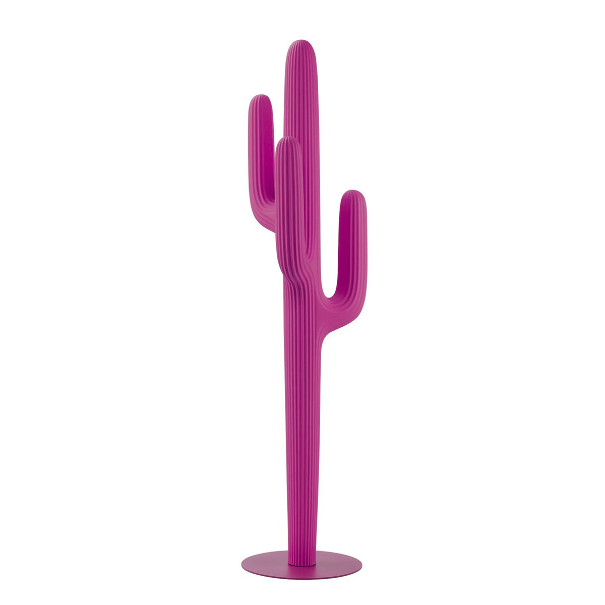 Appendiabiti Saguaro