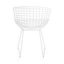 Knoll Bertoia Sedia verniciata Outdoor vista