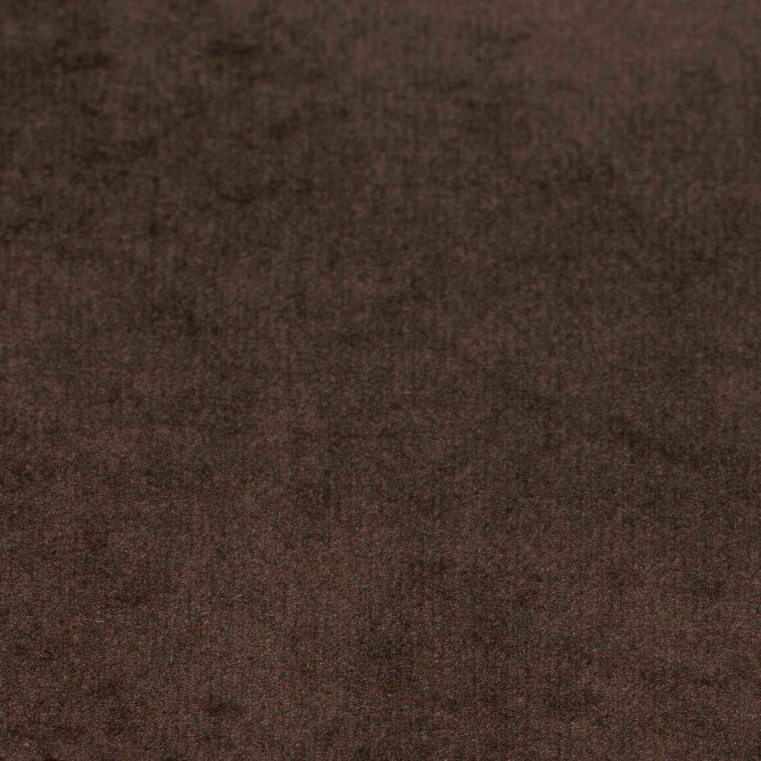 TEBQ006 Vetiver con bordino sabbia BDP02 - Tessuto Bouquet (+€ 59,93)