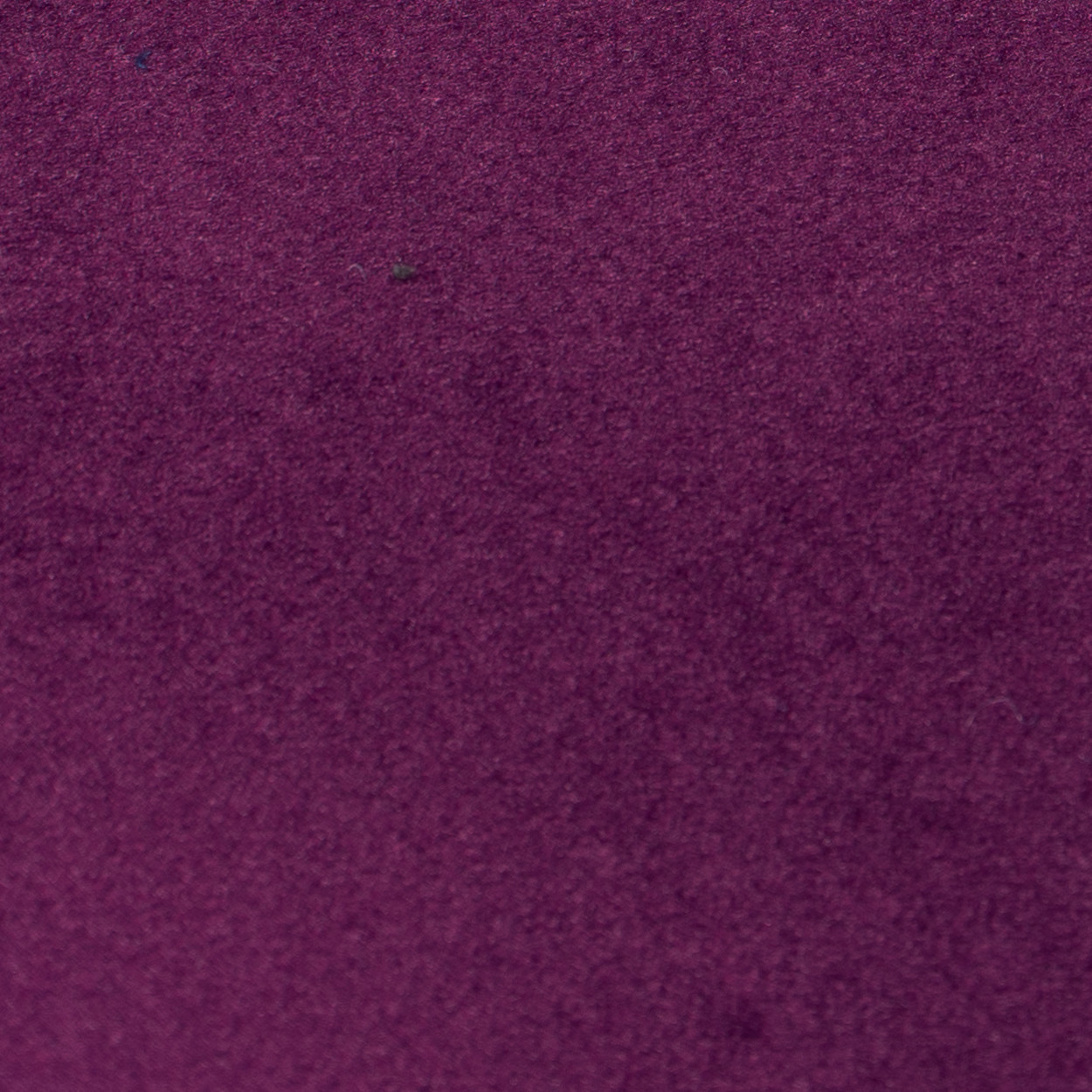 TEBQ011 Viola con bordino grigio chiaro BDP03 - Tessuto Bouquet (+€ 61,37)