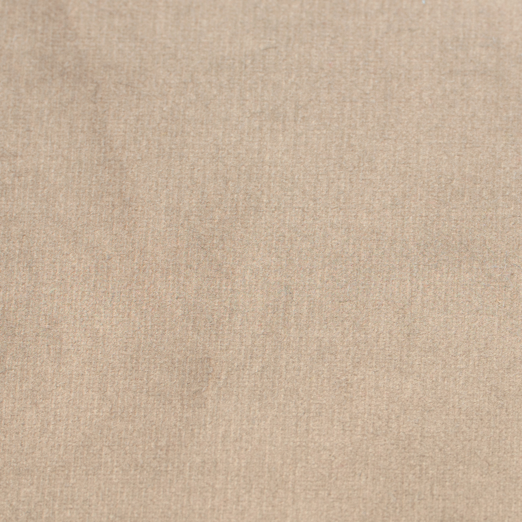 TEVS001 Sabbia con bordino bianco BDP01 - Velluto Supreme (+€ 180,50)