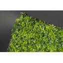 Bosso Mix Giardino Verticale VGnewtrend dettaglio
