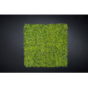 Bosso Mix Giardino Verticale VGnewtrend ambientazione