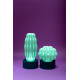 Cactus Large con luce Serralunga ambientazione