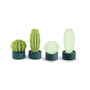 Cactus Long Serralunga vista