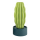 Cactus Long Serralunga vista