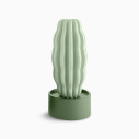 Cactus Long Serralunga vista