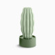 Cactus Long Serralunga vista