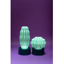 Cactus Long con luce Serralunga ambientazione