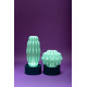 Cactus Long con luce Serralunga ambientazione