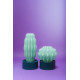 Cactus Long con luce Serralunga ambientazione