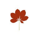 Leaves Serigrafia Castanea sativa - Castagno Magis ambientazione
