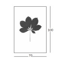Leaves Serigrafia Castanea sativa - Castagno Magis dimensioni