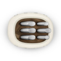 Ceppo portacoltelli Smeg KBSF02CR Panna 