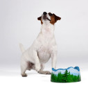 Ceramic Bowl PETS R(E)VOLUTION Les Alpes Seletti vista