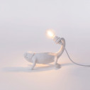 Chameleon Lamp Seletti dettaglio