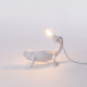 Chameleon Lamp Seletti dettaglio