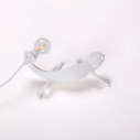 Chameleon Lamp Seletti dettaglio