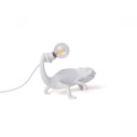 Chameleon Lamp Seletti vista
