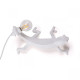 Chameleon Lamp 15091 Seletti dettaglio