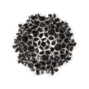 Clizia Ceiling-Wall Large Mama Non Mama lampada da soffitto-parete Black Slamp vista