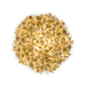 Clizia Ceiling-Wall Large Mama Non Mama lampada da soffitto-parete Gold Slamp vista