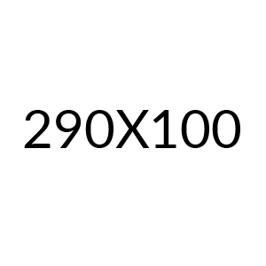 290x100