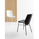 Sedia Sibilla CB/1959 Connubia Calligaris