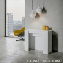 Consolle Venus Itamoby bianco frassino 