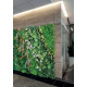 Daintree Wall Giardino Verticale VGnewtrend ambientazione