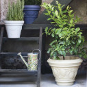 Decorati Limoni 152 vaso Serralunga ambientazione