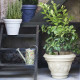 Decorati Limoni 152 vaso Serralunga ambientazione