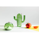 Desert Plants Brocca Cactus Verde Fiore Rosa Ichendorf ambientazione