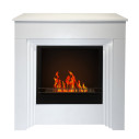 Camino a bioetanolo da terra Bellini in legno Bianco 96x35x96 Divina Fire vista