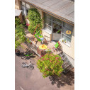 La Siesta Domingo Lime Poltrona sospesa Basic outdoor ambientazione