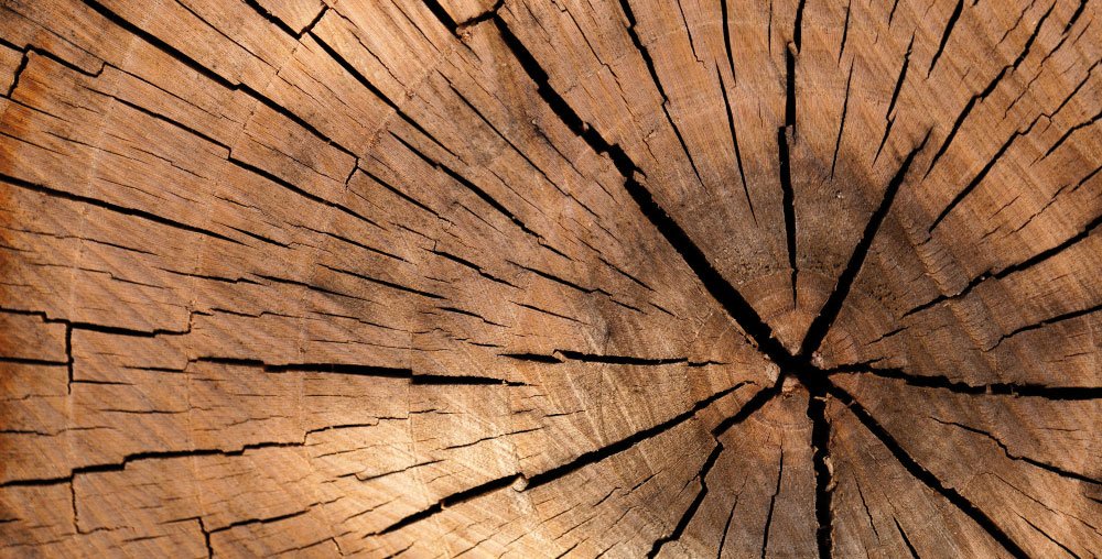 Legno