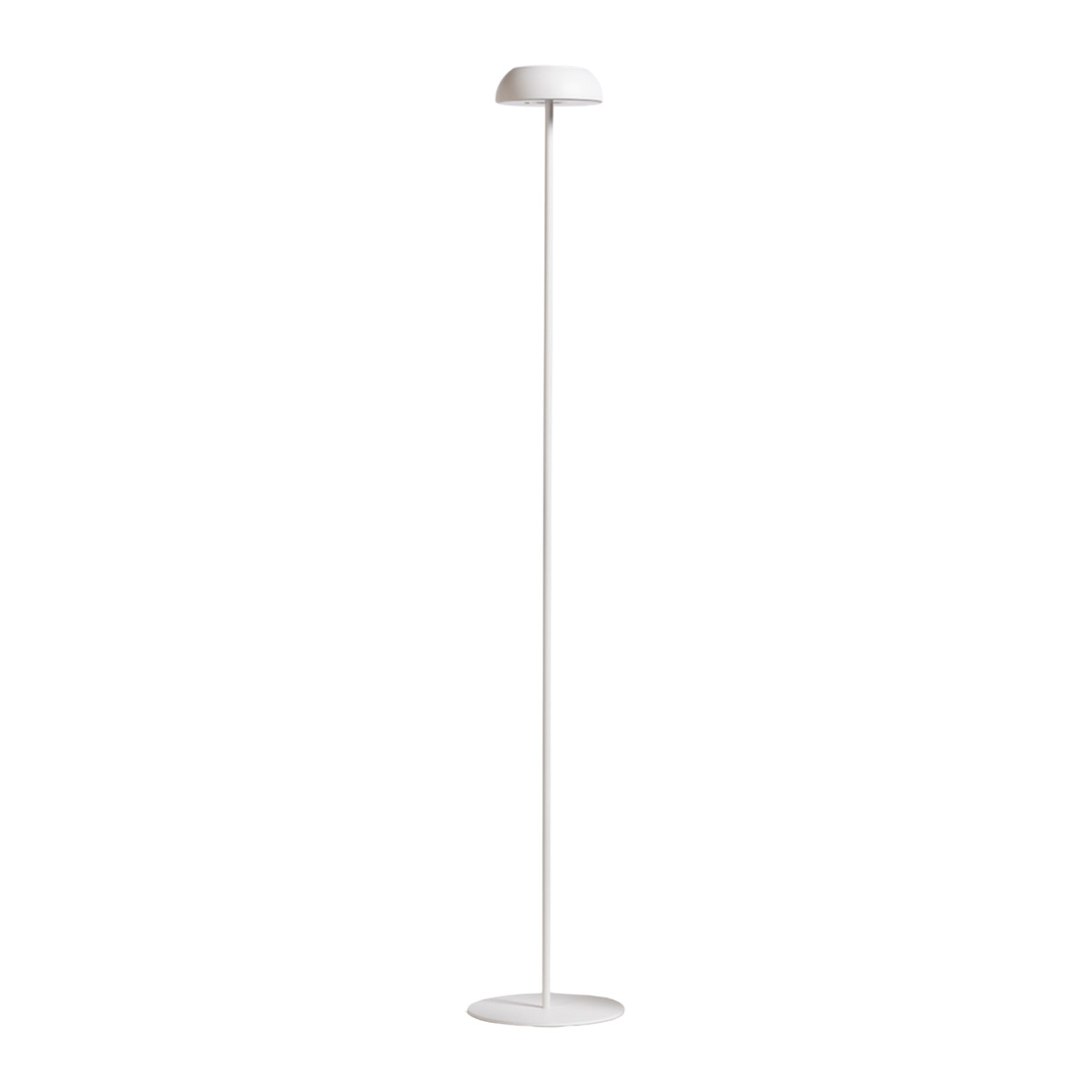 Float Lampada da terra