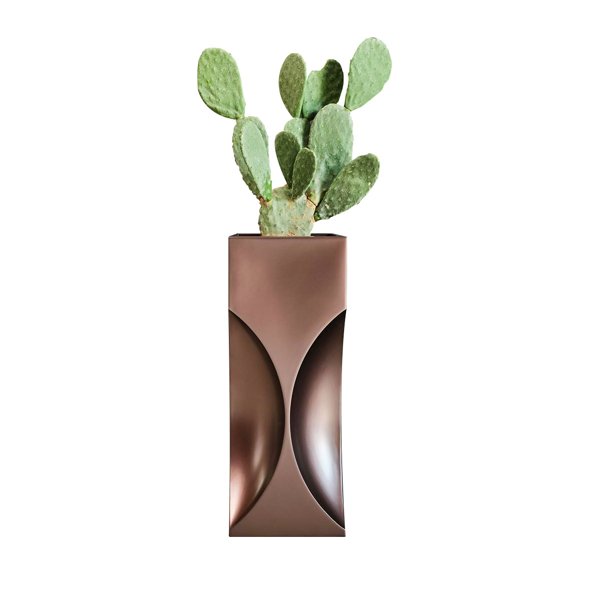 Vaso Flute 39x39x100