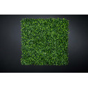 Gelsomino Giardino Verticale  VGnewtrend vista