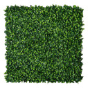 Gelsomino Giardino Verticale  VGnewtrend vista
